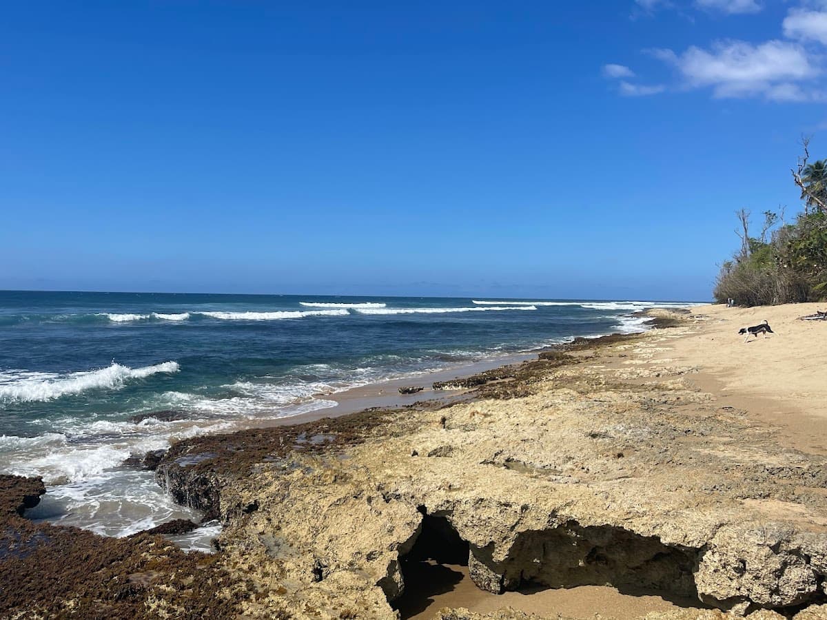 Wilderness (Puerto Rico) surf spot