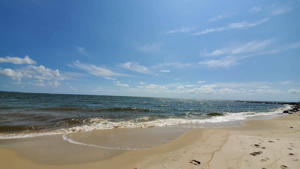 Alabama & Louisiana surf