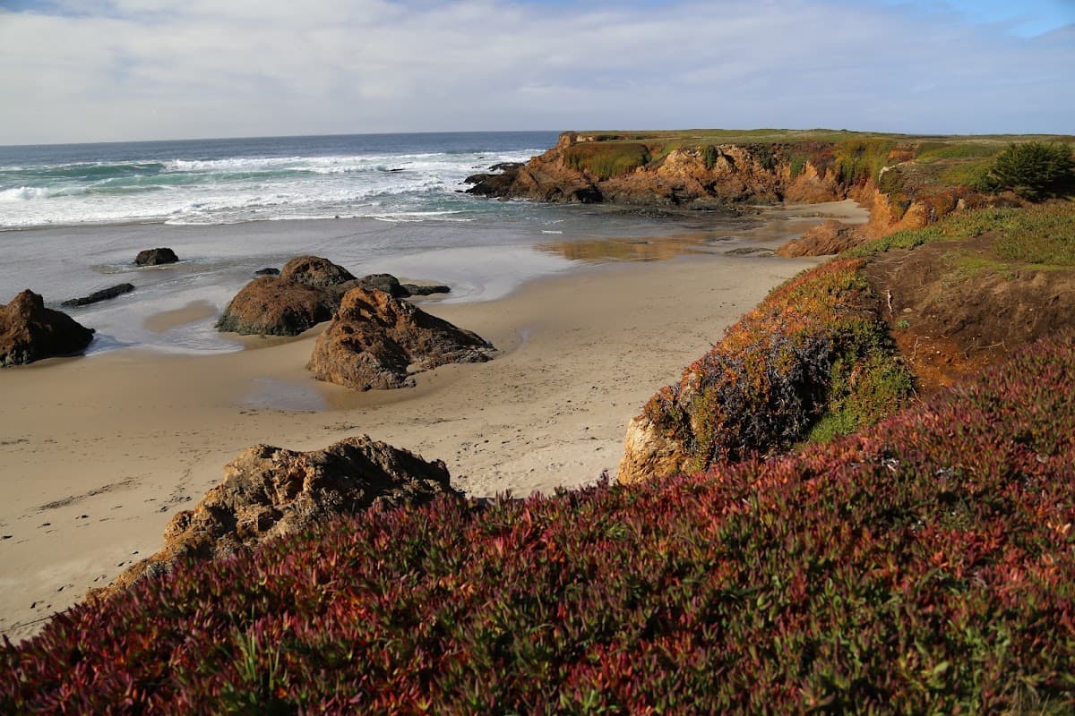 Pudding Creek Beach surf spot