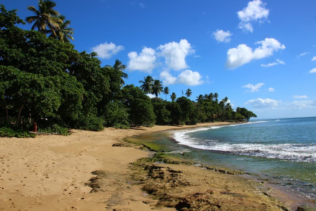 Tres Palmas surf spot