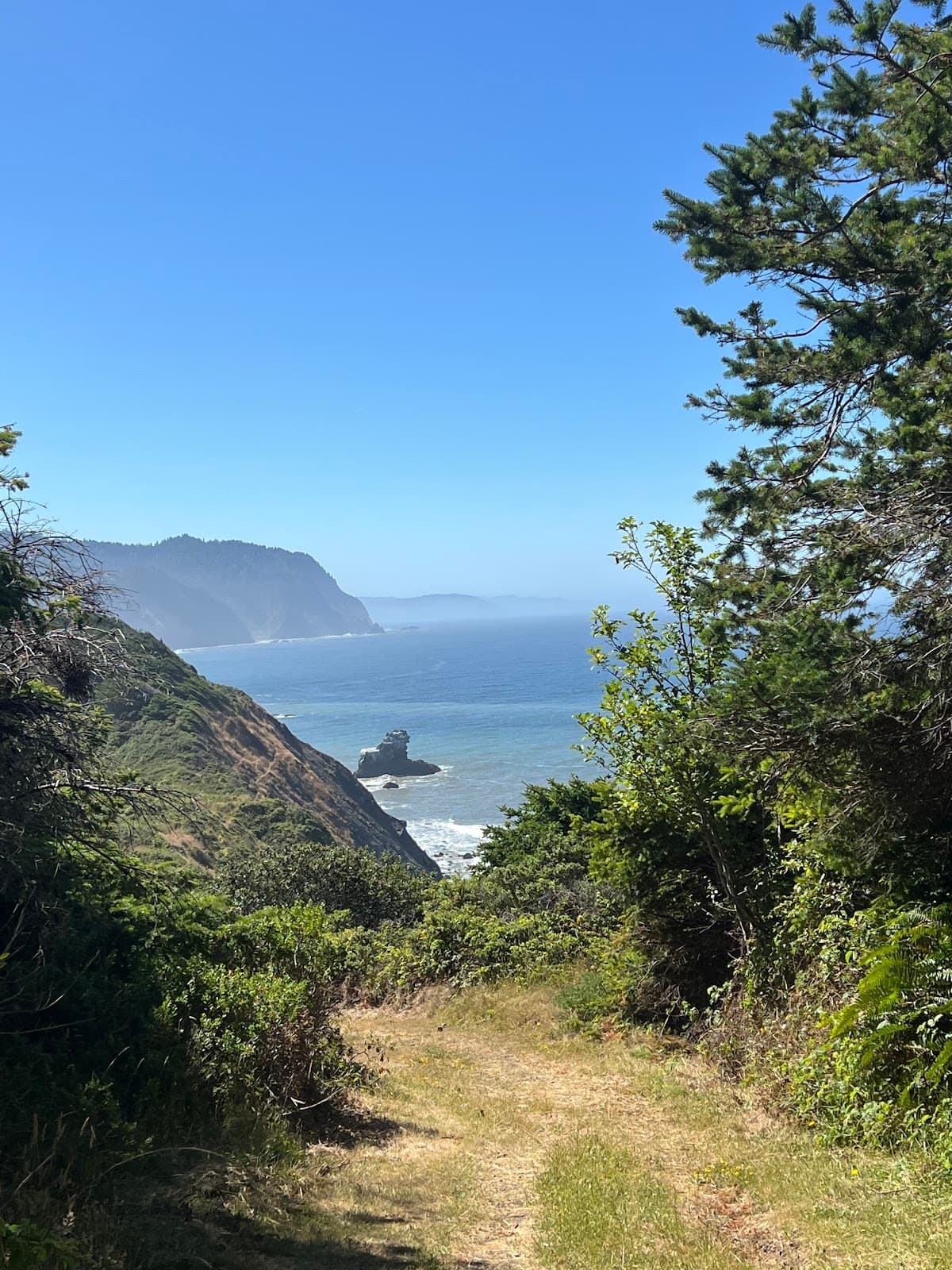 Needle Rock surf spot