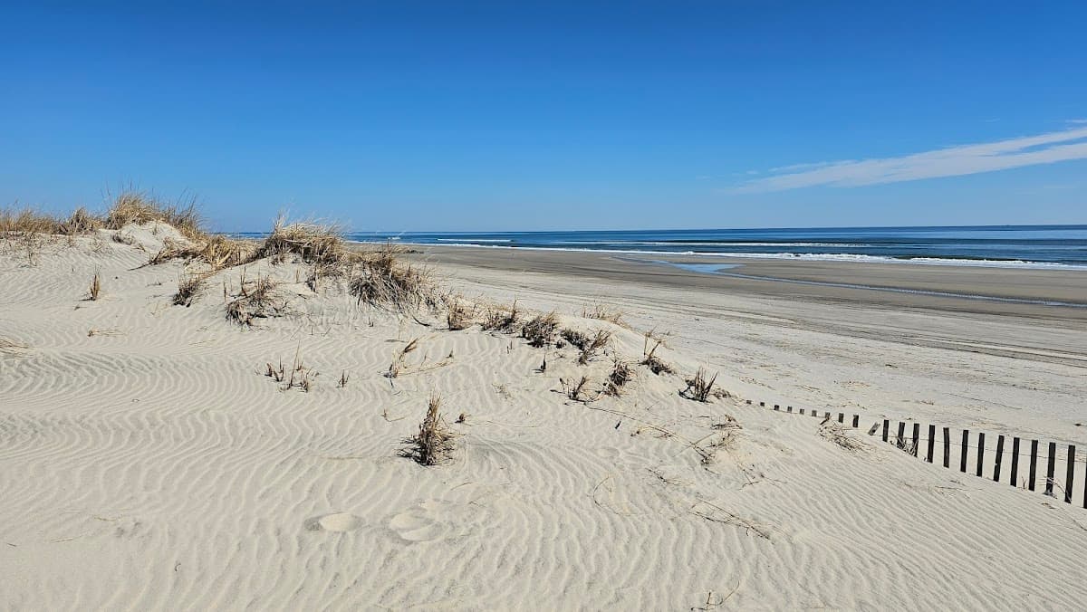 Stone Harbor surf spot