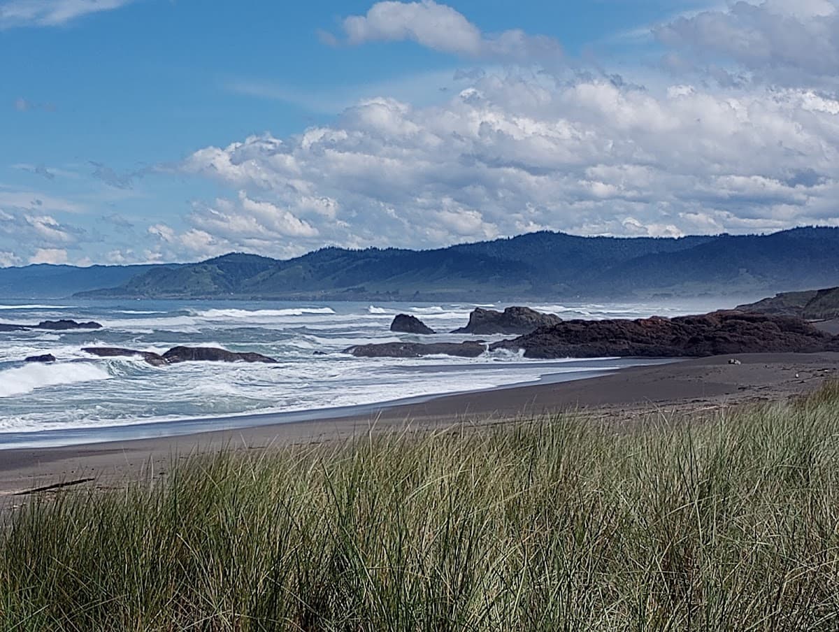 Ward Ave. Beach surf spot