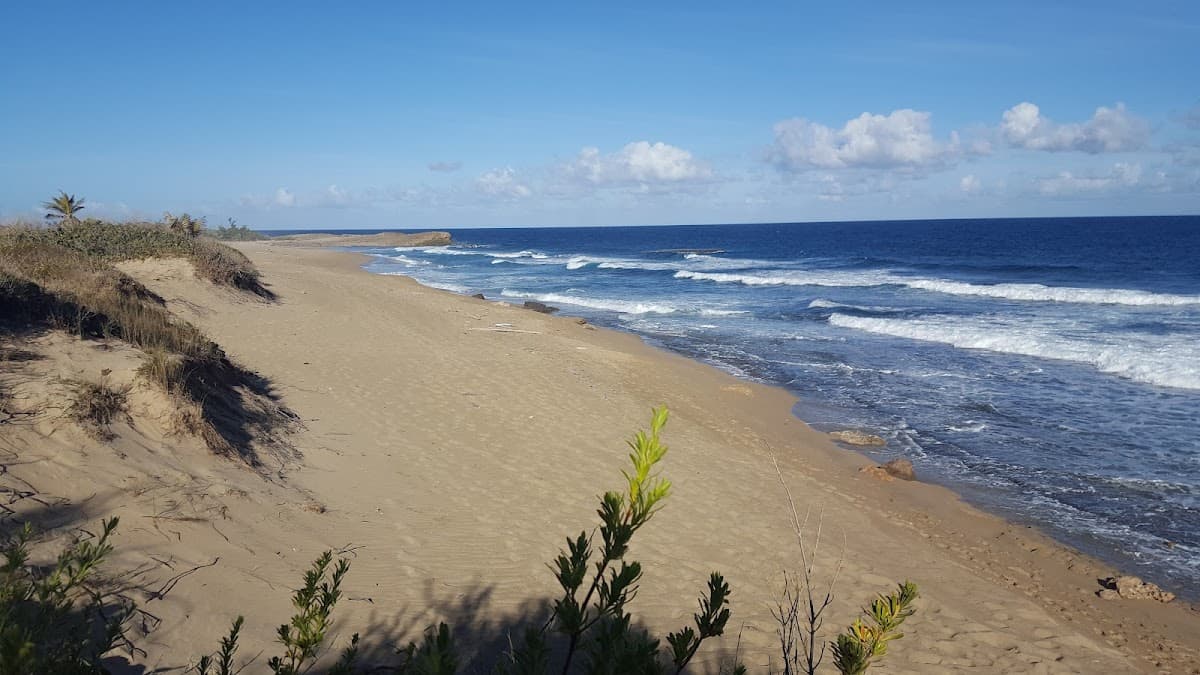 Dunes (Puerto Rico) surf spot