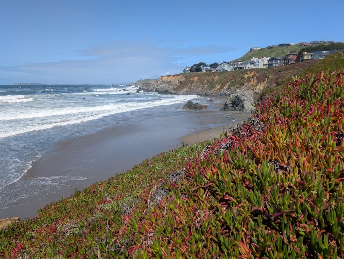 Dillon Beach surf spot