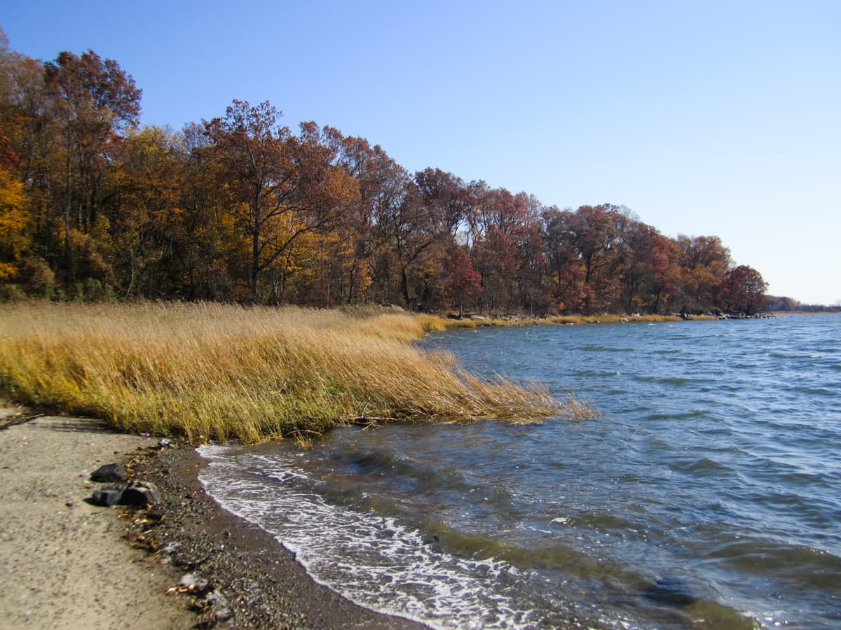 Turtle Cove surf spot