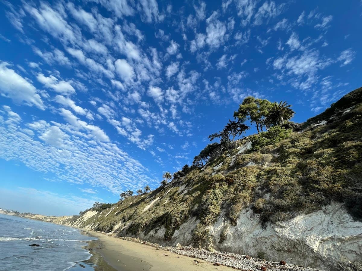The Ranch - Cojo Reef surf spot