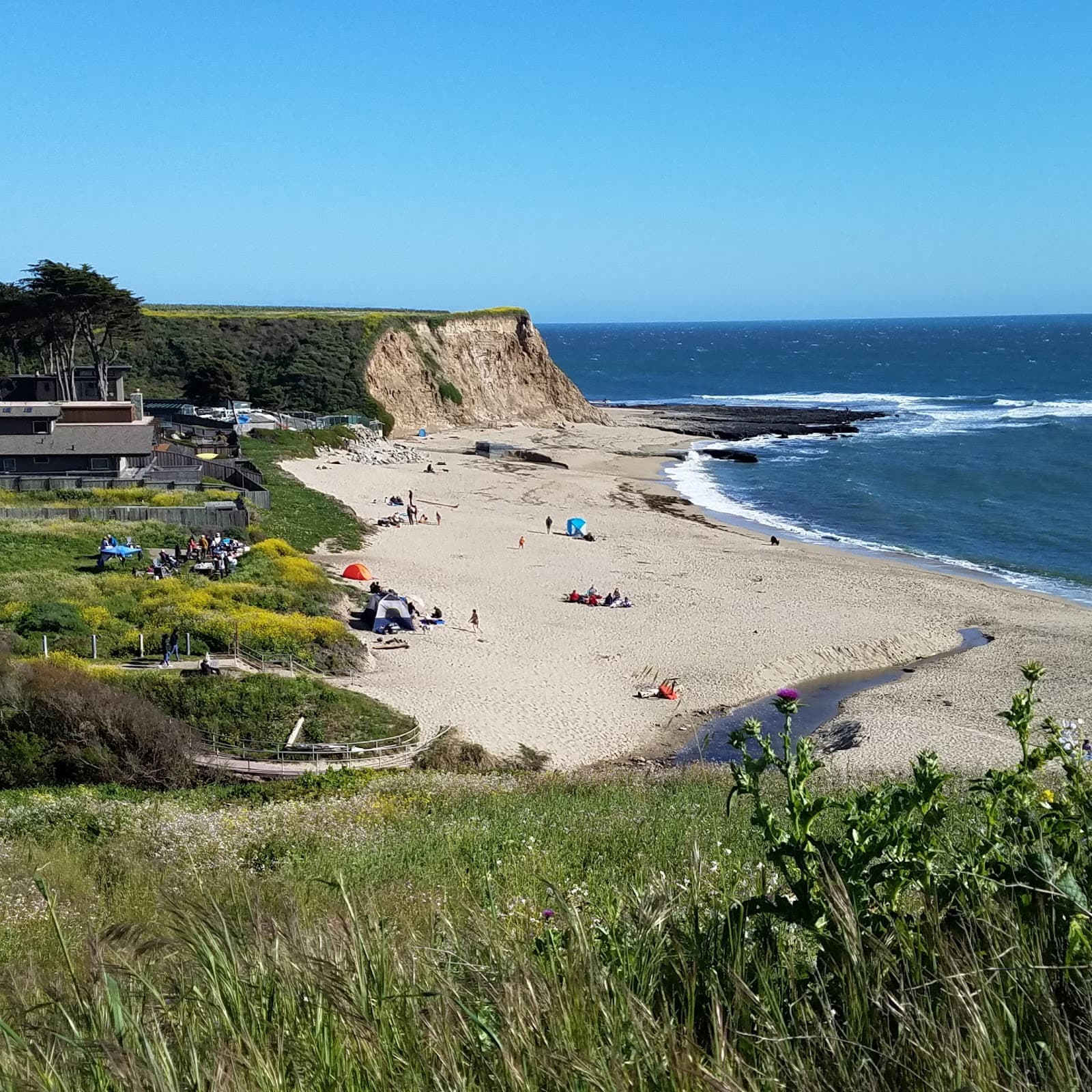 Davenport Landing surf spot
