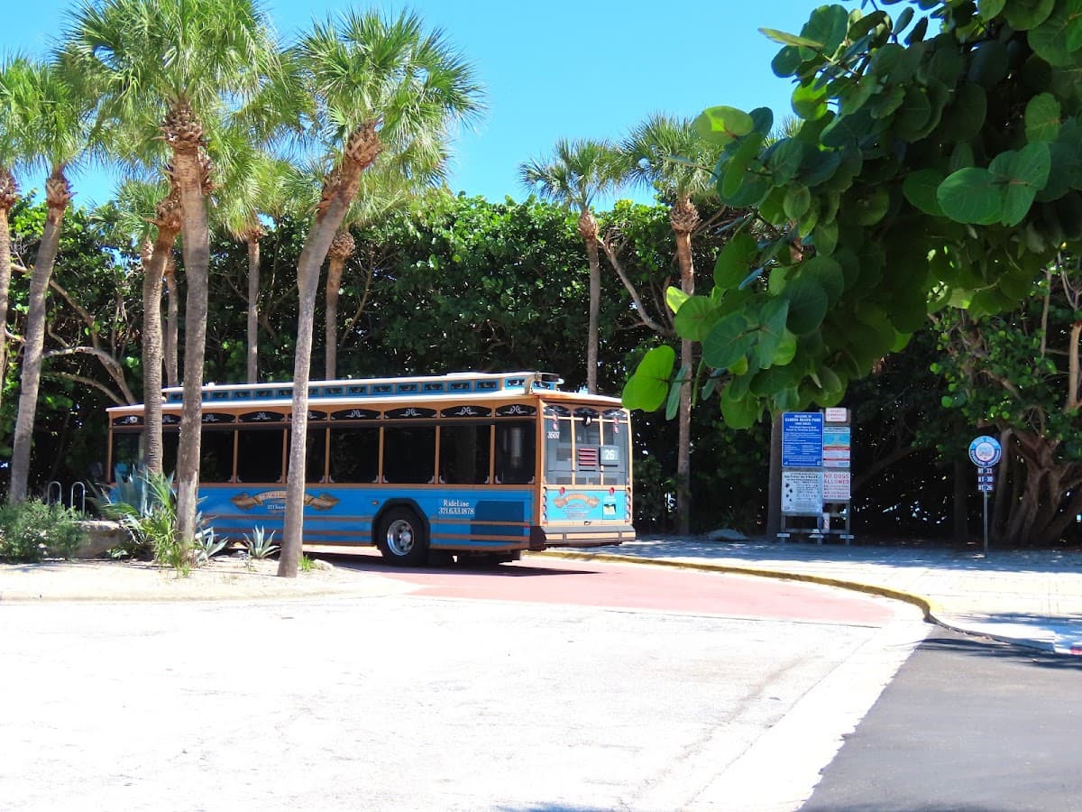 Canova Beach surf spot