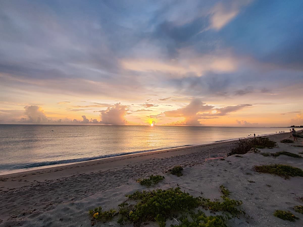 Venice Beach surf spot